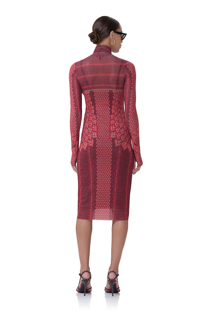 women's knee length power mesh turtleneck fitted silhouette dress that includes a removable slip in rouge guilded rose print