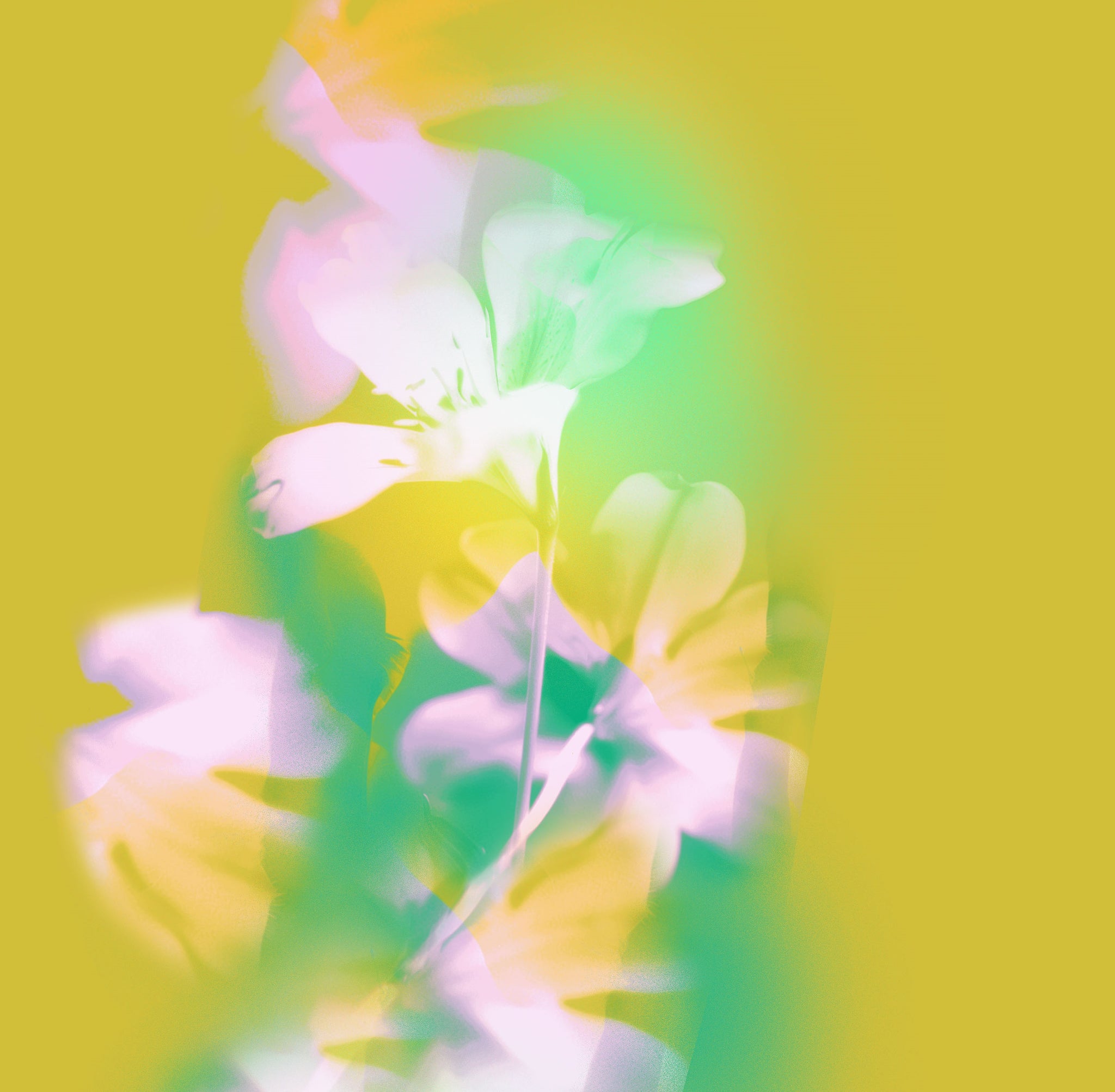 Zadie Top - Sunblur Blossom – AFRM