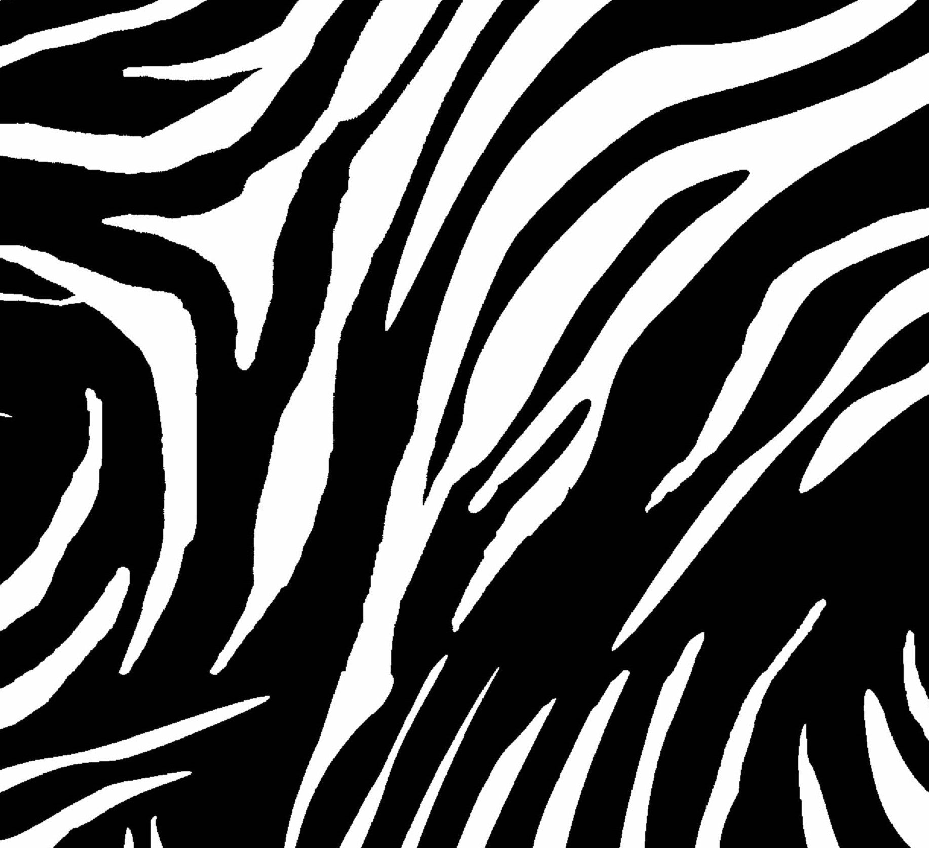 Zadie Top - Blanc Zebra – AFRM